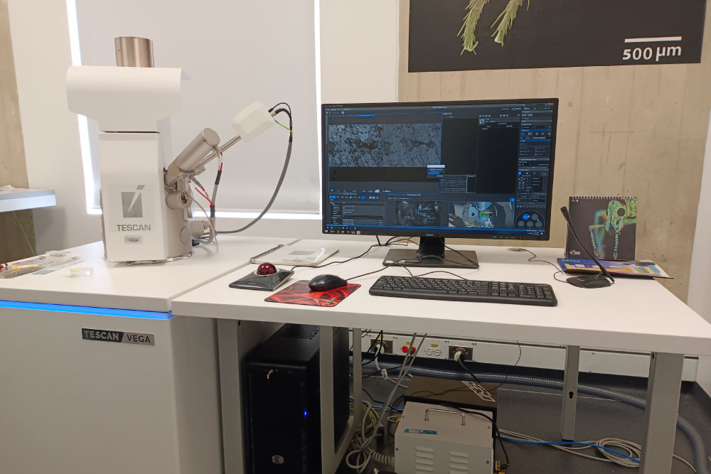 Microscopio de Barrido Electrónico (SEM) + EDX + Crio-SEM