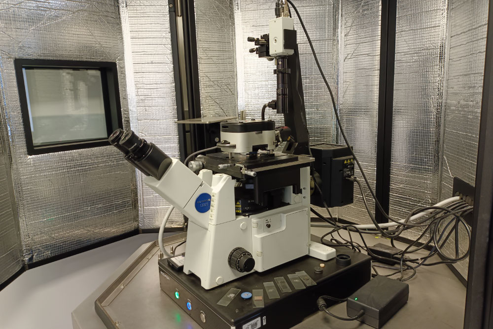 Microscopio de Fuerza Atómica (AFM)