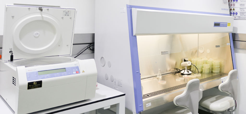 Laboratorio, visualización de datos en la Universidad de los Andes