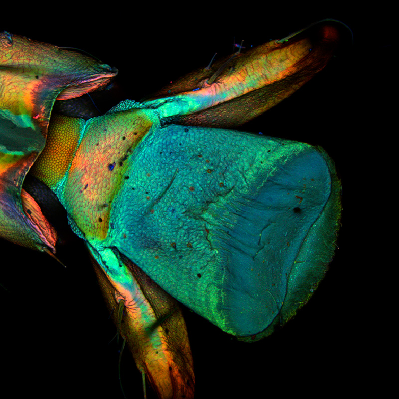 MicroCore de la Vicerrectoría de Investigación y Creación de la Universidad de los Andes