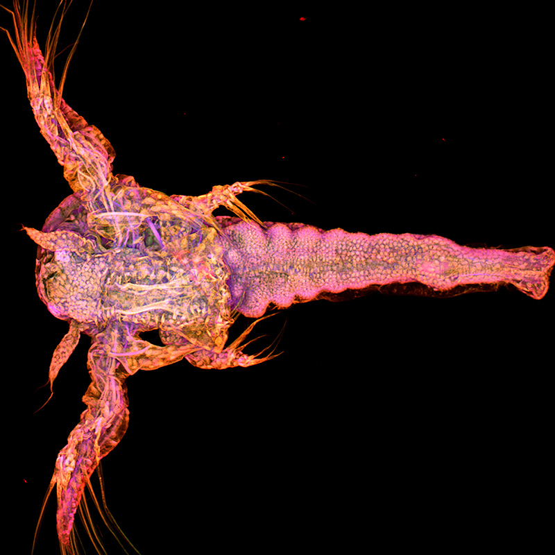 MicroCore de la Vicerrectoría de Investigación y Creación de la Universidad de los Andes