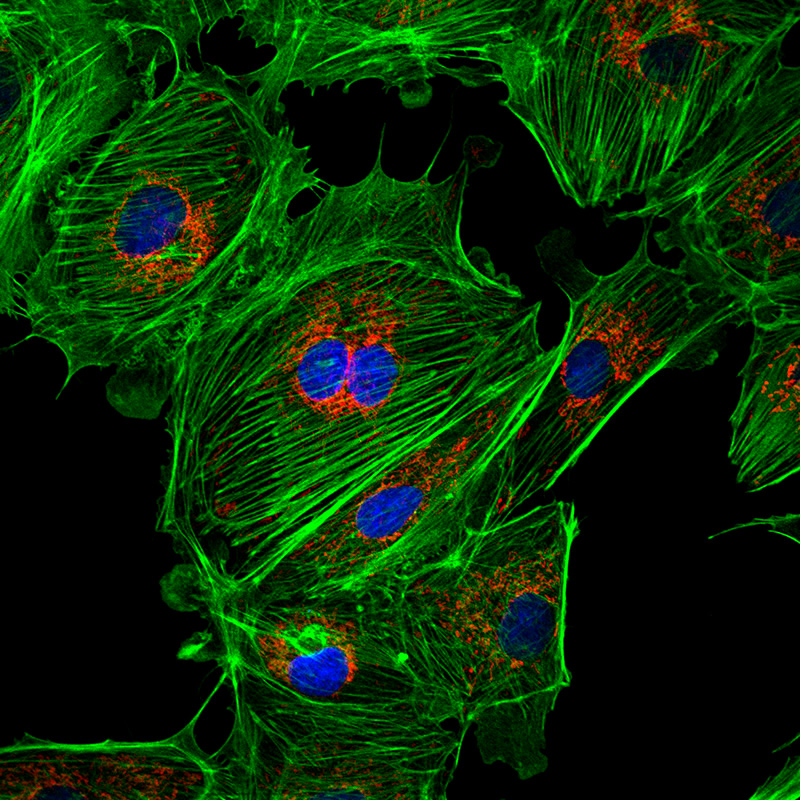 MicroCore de la Vicerrectoría de Investigación y Creación de la Universidad de los Andes