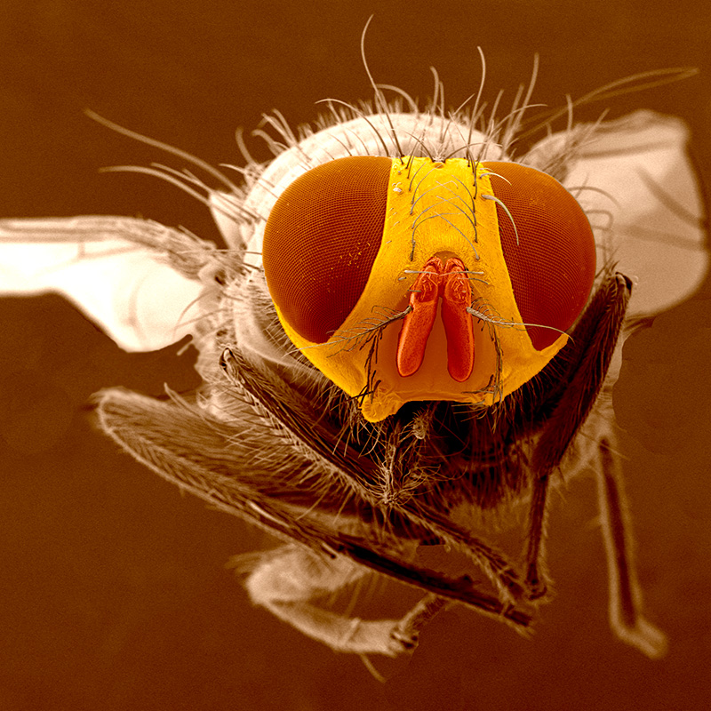 MicroCore de la Vicerrectoría de Investigación y Creación de la Universidad de los Andes